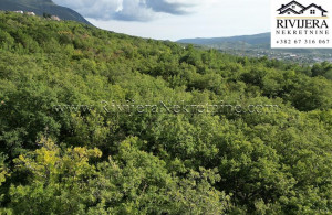 thumb_3673290_plac_dub_rivijera_nekretnine-8-850x570.jpg