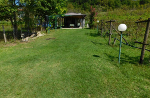 thumb_3673362_dscn1621.jpg