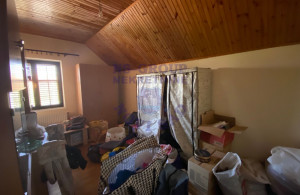 thumb_3673535_image_66fbf42e7ee8fc6cf3a2bfaf.jpg