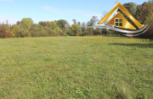 thumb_3673603_img_1048-copy.jpg