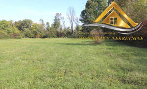 thumb_3673603_img_1052-copy.jpg