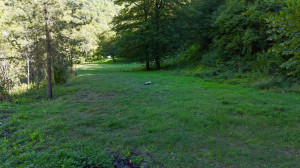 thumb_3674279_e51ea0dd-7d17-4cd5-9f90-03e27cf83841.jpeg