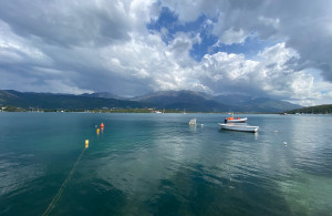thumb_3674286_photo-2025-10-07-17-24-01.jpg