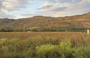 thumb_3674309_e052d6f4-2ca9-4683-994d-6dce2c285c60.jpeg