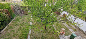 thumb_3674345_image_67fcb9386c36f685eebc0be0.jpg