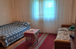 thumb_3675008_20251012_135016.jpgzoranr.jpg