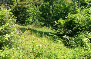 thumb_3675603_img-20250924-wa0016.jpg