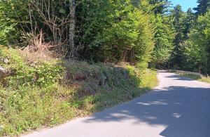 thumb_3675603_img-20250924-wa0018.jpg