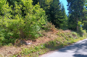 thumb_3675603_img-20250924-wa0021.jpg