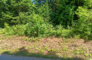 thumb_3675603_img-20250924-wa0022.jpg