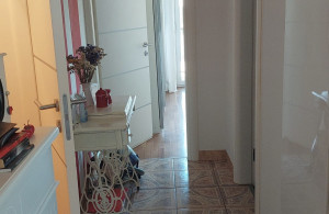 thumb_3679430_img_7284.jpeg