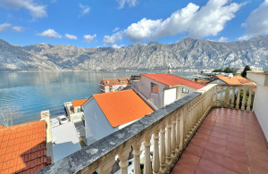 thumb_3679796_photo_3_2025-10-19_10-42-54.jpg