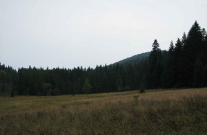 thumb_3679852_4.jpg