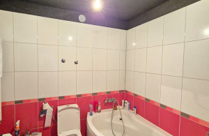 thumb_3680108_7.jpg