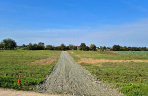 thumb_3680110_10.jpg