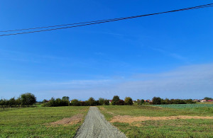thumb_3680110_11.jpg