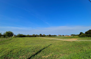 thumb_3680110_12.jpg
