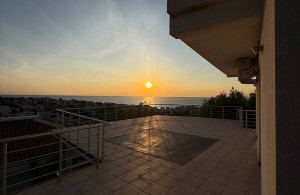 thumb_3680336_foto-1-1.jpg