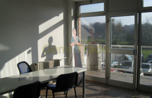 thumb_3681960_djordje04.jpg