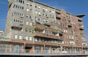 thumb_3681960_djordje29.jpg
