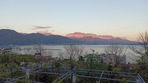 thumb_3682798_img20220423192820.jpg