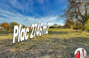 thumb_3682845_1.jpg