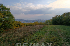 thumb_3682855_2.jpg