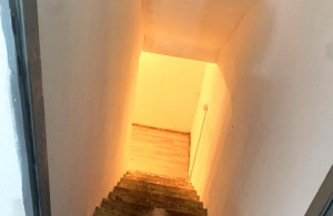 thumb_3682886_7.jpg