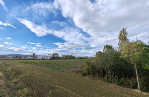 thumb_3683084_a2.jpg