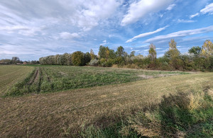 thumb_3683084_a3.jpg