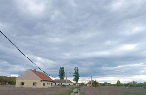 thumb_3683911_3.jpg