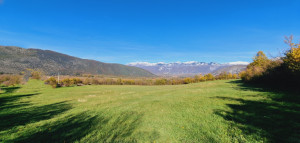 thumb_3685035_vrapcici.jpg