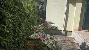 thumb_3685121_13.jpg