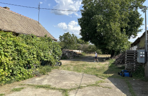 thumb_3685130_img_6663.jpg