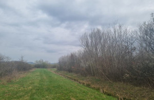 thumb_3685847_100.jpg