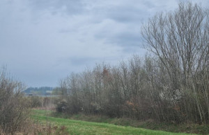 thumb_3685847_300.jpg
