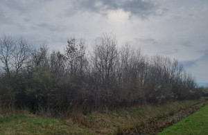 thumb_3685847_600.jpg