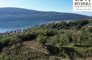 thumb_3691993_nine_ad_ads_djenovic_herceg_novi_lan_landplot_plac_--11-.jpg