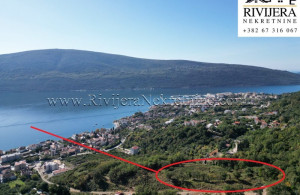 thumb_3691993_tnine_ad_ads_djenovic_herceg_novi_lan_landplot_plac_--1-.jpg