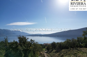 thumb_3691993_tnine_ad_ads_djenovic_herceg_novi_lan_landplot_plac_--3-.jpg